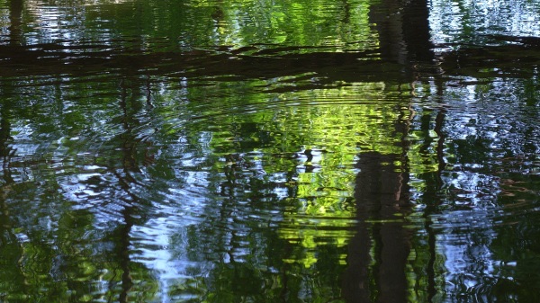 spreewald2014geah